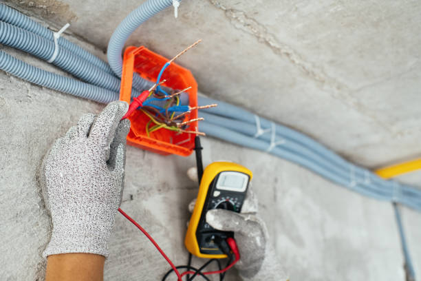 Best Electric Panel Repair  in Wyoming, DE