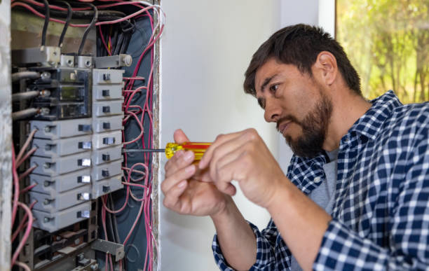Best Electrician for Home Renovation  in Wyoming, DE